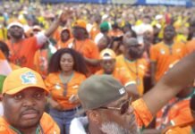 🐘 SUPPORTERS DES ÉLÉPHANTS : LA DIASPORA IVOIRIENNE AUX ÉTATS-UNIS FAIT VIBRER PHILADELPHIE