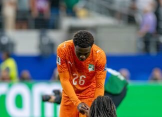 🐘 MONDIAL 2026 : POURQUOI L’ÉLIMINATION DES ÉLÉPHANTS FAIT TANT MAL
